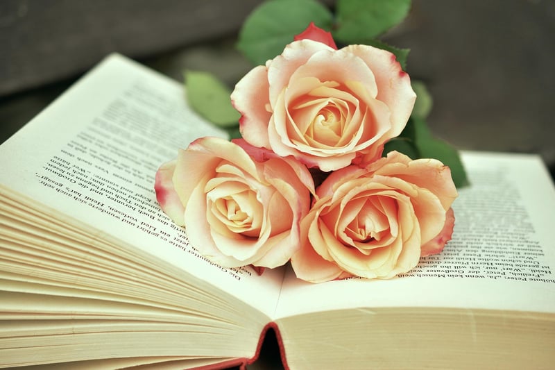 Book Planter